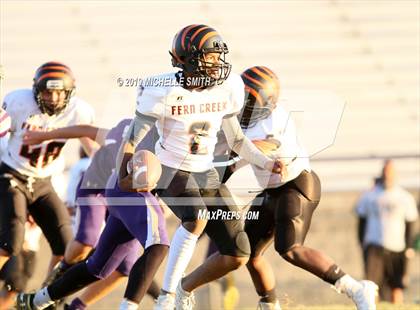 Thumbnail 1 in Fern Creek @ Male  photogallery.