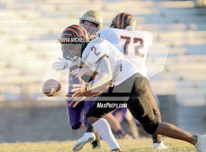 Thumbnail 2 in Fern Creek @ Male  photogallery.