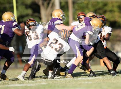 Thumbnail 3 in Fern Creek @ Male  photogallery.