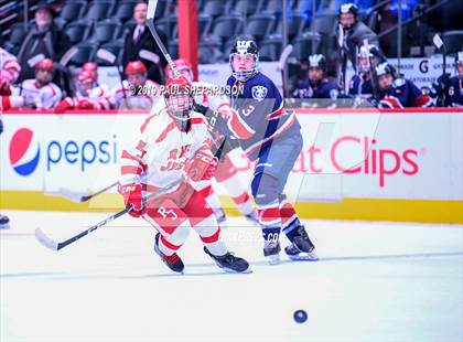 Thumbnail 1 in Regis Jesuit vs. Chaparral (CHSSA 5A Semifinal) photogallery.