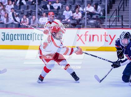 Thumbnail 1 in Regis Jesuit vs. Chaparral (CHSSA 5A Semifinal) photogallery.