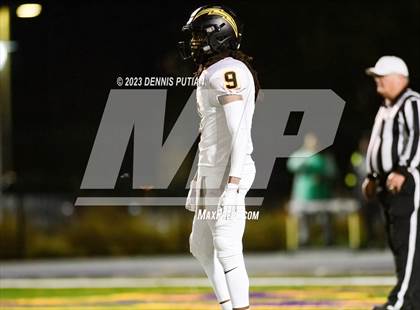 Thumbnail 3 in Wilcox vs. Serra photogallery.
