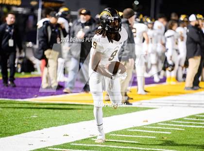 Thumbnail 2 in Wilcox vs. Serra photogallery.