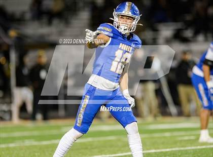 Thumbnail 3 in Wilcox vs. Serra photogallery.