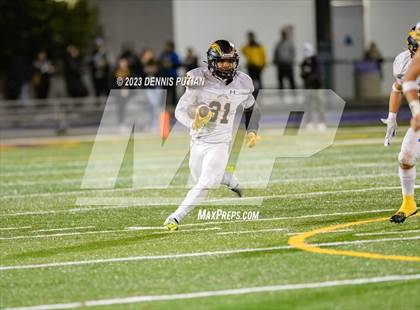 Thumbnail 3 in Wilcox vs. Serra photogallery.