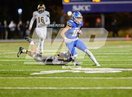Thumbnail 1 in Wilcox vs. Serra photogallery.