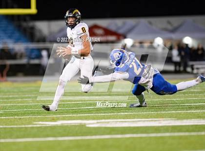 Thumbnail 1 in Wilcox vs. Serra photogallery.