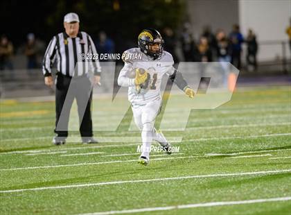 Thumbnail 1 in Wilcox vs. Serra photogallery.