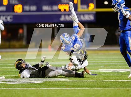 Thumbnail 1 in Wilcox vs. Serra photogallery.
