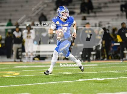 Thumbnail 3 in Wilcox vs. Serra photogallery.