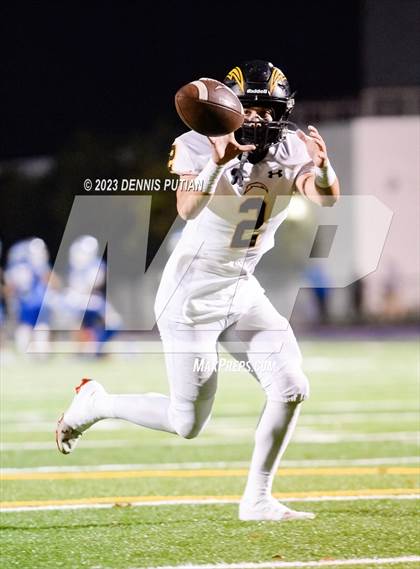 Thumbnail 1 in Wilcox vs. Serra photogallery.