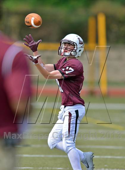 Thumbnail 3 in Sun Valley @ Lower Merion photogallery.