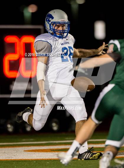 Thumbnail 2 in Mesquite @ Campo Verde photogallery.