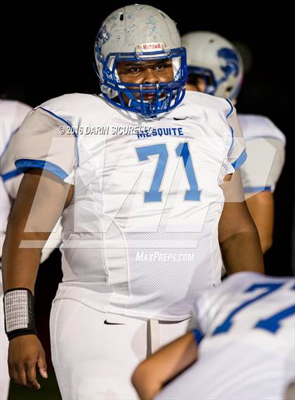 Thumbnail 1 in Mesquite @ Campo Verde photogallery.