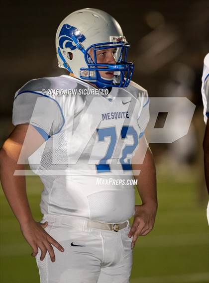Thumbnail 3 in Mesquite @ Campo Verde photogallery.