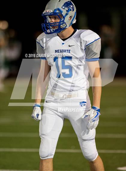 Thumbnail 3 in Mesquite @ Campo Verde photogallery.