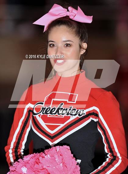 Thumbnail 2 in Lake Dallas @ Creekview photogallery.
