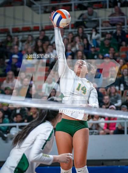 Thumbnail 2 in Horizon vs. Millennium (AIA 5A Final) photogallery.