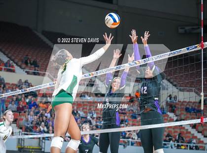 Thumbnail 3 in Horizon vs. Millennium (AIA 5A Final) photogallery.