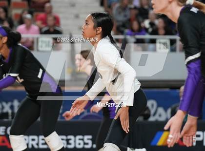 Thumbnail 1 in Horizon vs. Millennium (AIA 5A Final) photogallery.