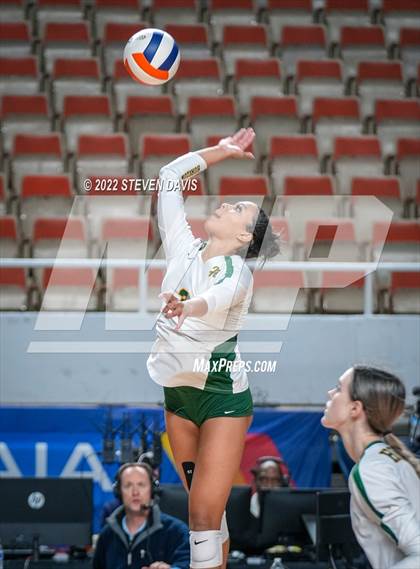 Thumbnail 2 in Horizon vs. Millennium (AIA 5A Final) photogallery.