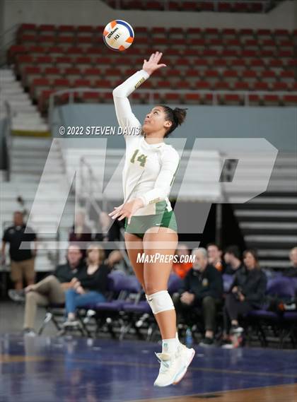 Thumbnail 1 in Horizon vs. Millennium (AIA 5A Final) photogallery.