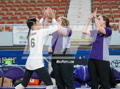 Thumbnail 1 in Horizon vs. Millennium (AIA 5A Final) photogallery.