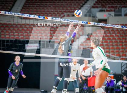 Thumbnail 2 in Horizon vs. Millennium (AIA 5A Final) photogallery.