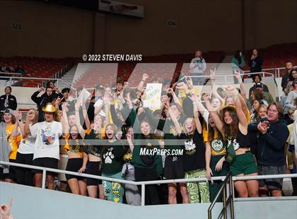 Thumbnail 3 in Horizon vs. Millennium (AIA 5A Final) photogallery.