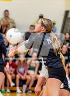 Photo from the gallery "Richmond @ Pinecrest"