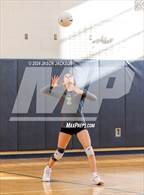 Photo from the gallery "Richmond @ Pinecrest"
