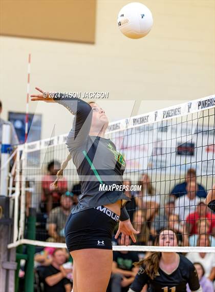 Thumbnail 3 in Richmond @ Pinecrest photogallery.
