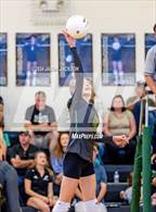 Photo from the gallery "Richmond @ Pinecrest"