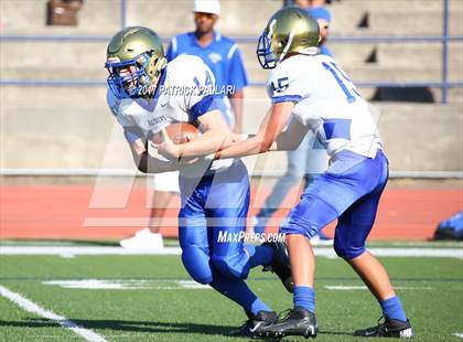 Thumbnail 1 in FR: Reed @ Oak Ridge photogallery.