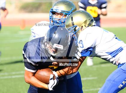 Thumbnail 3 in FR: Reed @ Oak Ridge photogallery.