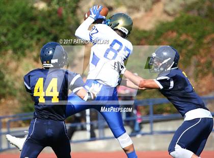 Thumbnail 1 in FR: Reed @ Oak Ridge photogallery.