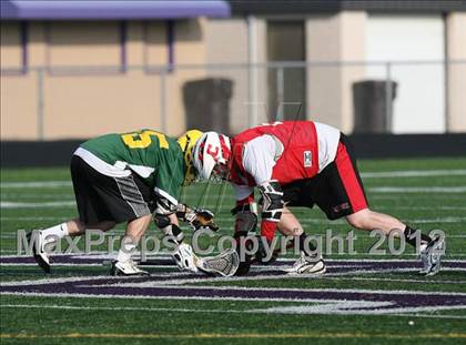 Thumbnail 1 in Timon vs Clarence (Hamburg Early Bird)  photogallery.