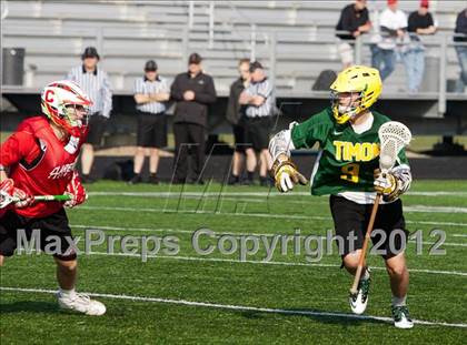Thumbnail 1 in Timon vs Clarence (Hamburg Early Bird)  photogallery.