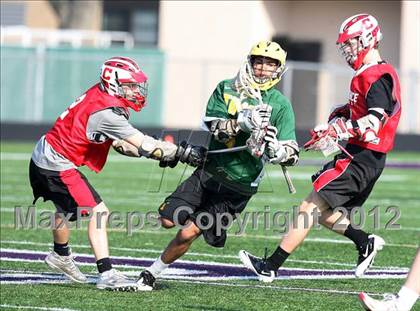 Thumbnail 1 in Timon vs Clarence (Hamburg Early Bird)  photogallery.