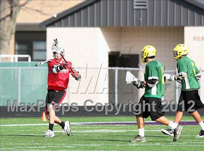 Thumbnail 3 in Timon vs Clarence (Hamburg Early Bird)  photogallery.
