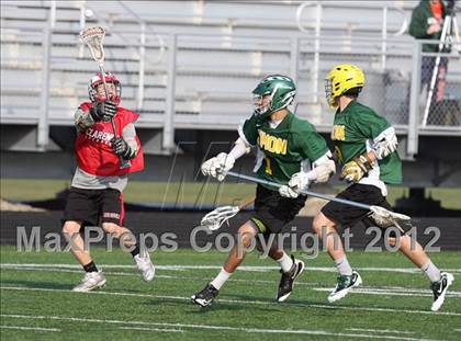 Thumbnail 3 in Timon vs Clarence (Hamburg Early Bird)  photogallery.