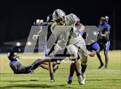 Photo from the gallery "Braden River @ Wildwood"