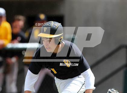 Thumbnail 3 in Thompson Valley vs. Valor Christian (CHSAA 4A Playoffs) photogallery.