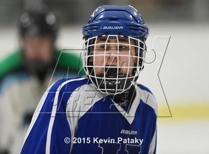 Thumbnail 2 in Hall/Southington @ Fermi/Enfield/East Granby photogallery.