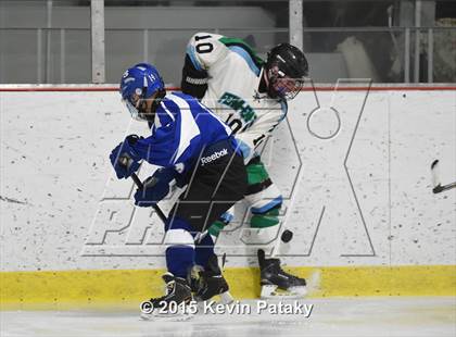 Thumbnail 1 in Hall/Southington @ Fermi/Enfield/East Granby photogallery.