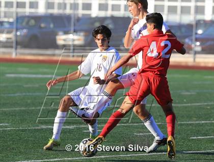 Thumbnail 2 in Pasadena vs. Point Loma (CIF SoCal Regional D3 Playoff) photogallery.