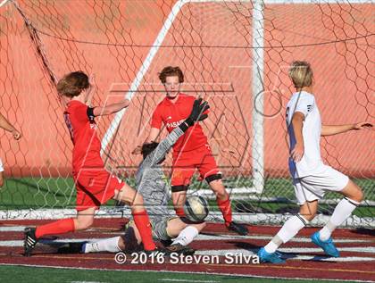 Thumbnail 2 in Pasadena vs. Point Loma (CIF SoCal Regional D3 Playoff) photogallery.
