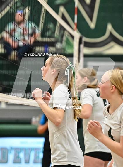 Thumbnail 2 in FR: Pomona @ D'Evelyn photogallery.