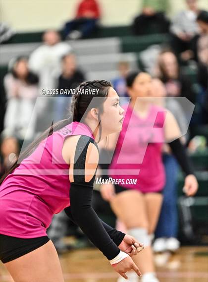 Thumbnail 2 in FR: Pomona @ D'Evelyn photogallery.