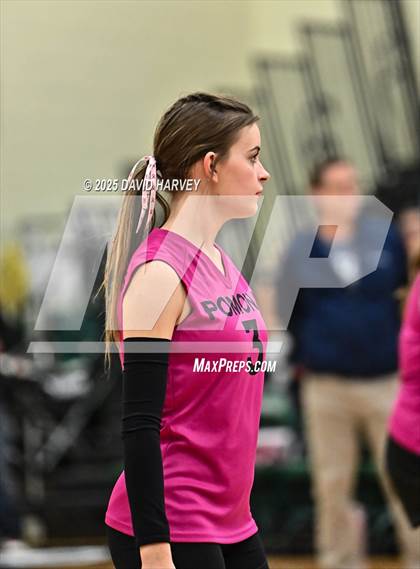 Thumbnail 2 in FR: Pomona @ D'Evelyn photogallery.